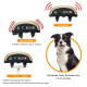 # Collier Anti Aboiement Pour Chien Rechargeable Étanche À Ultrasons Avec Stimulation Électrique 7 Niveaux Et Veille 60 Jours...