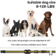 Collier Anti Aboiement Pour Chien Avec Télécommande Vibration Choc 20 Intensités Portée 1000 Mètres Étanche IP67 - www.yonis-...
