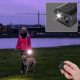 Répulsif Ultrasonique Pour Chiens Anti Aboiement Avec Flash Stroboscopique 40 kHz Recharge USB-C 1 Hৰাকী - www.yonis-shop.com