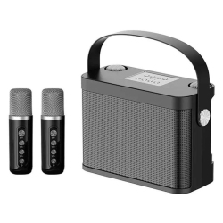 Enceinte Karaok&eacute; Portable Bluetooth Avec Deux Microphones Sans Fil UHF 10 W Autonomie 5 &Agrave; 10 Heures