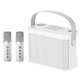 Enceinte Karaoké Portable Bluetooth Avec Deux Microphones Sans Fil UHF 10 W Autonomie 5 À 10 Heures - www.yonis-shop.com
