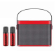 Enceinte Karaoké Portable Bluetooth Avec Deux Microphones Sans Fil UHF 10 W Autonomie 5 À 10 Heures - www.yonis-shop.com
