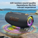 Enceinte Bluetooth Portable Extérieure 100 W Avec Éclairage RGB Son HiFi Et Batterie 24000 mAh - www.yonis-shop.com