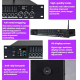 Préamplificateur Audio Pour Microphone Avec Suppresseur De Larsen Égaliseur 3 Bandes Et Sortie Caisson - www.yonis-shop.com
