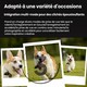 Appareil Photo Numérique 5K 64MP À Double Objectif Écran Tactile Zoom Optique 6x Et Stabilisation EIS - www.yonis-shop.com