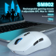 Souris Gaming Sans Fil Tri Mode Ultra Légère 63 G Avec Coques Interchangeables DPI 10000 Et Autonomie 70 Heures - www.yonis-s...