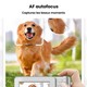 Appareil Photo Numérique Portable Pour Étudiants 1080P Zoom 16X Mise Au Point Automatique Flash Intégré Écran 2,4 Pouces - ww...