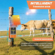 Électrificateur De Clôture Électrique Solaire Pour Élevage 12KV Autonomie 6000mAh Jusqu’à 10Km 1,2J - www.yonis-shop.com