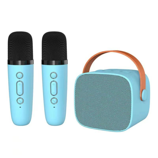 Enceinte Bluetooth Portable Karaoké Enfant Et Famille Avec Microphone Détachable Bluetooth 5.0 6 W Effet Écho Utilisation Nom...