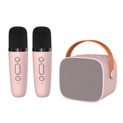 Enceinte Bluetooth Portable Karaoké Rose Avec Microphone Amovible Bluetooth 5.0 Haut-Parleur 6 W Et Effet Écho