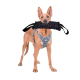 Bâton À Mâcher Pour Chien 20 Cm En Matériau Sûr Avec Poignée Antidérapante Pour Jeux Extérieurs - www.yonis-shop.com
