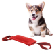 Bâton À Mâcher Pour Chien 20 Cm En Matériau Sûr Avec Poignée Antidérapante Pour Jeux Extérieurs - www.yonis-shop.com