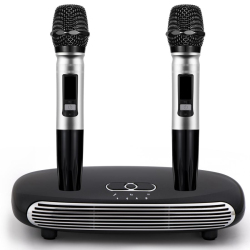 Boîtier Karaoké Bluetooth Pour TV Avec Deux Micros Sans Fil Portée 30 m HDMI ARC Et Traitement Audio DSP