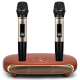 Boîtier Karaoké Bluetooth Pour TV Avec Deux Micros Sans Fil Portée 30 m HDMI ARC Et Traitement Audio DSP - www.yonis-shop.com