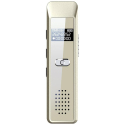Enregistreur Vocal Portable 32 Go Avec &Eacute;cran OLED Enregistrement 30 Heures Activation Vocale Et Lecture MP3 - www.yonis-shop.com