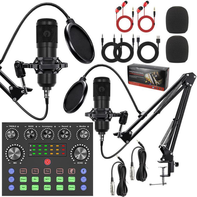 Kit De Deux Microphones Condensateurs Pour Podcast Duo Avec Carte Son Live Effets Vocaux Et Bras Articulés - www.yonis-shop.com