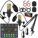 Kit De Deux Microphones Condensateurs Pour Podcast Duo Avec Carte Son Live Effets Vocaux Et Bras Articulés - www.yonis-shop.com