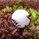 Lampes Solaires De Jardin Extérieures Étanches 2 Pièces Lumière Blanche Éclairage 8 H - www.yonis-shop.com