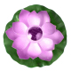 Lampe Solaire Flottante Lotus Rose Pour Jardin IP65 Étanche Avec Allumage Automatique Nocturne 28x28 cm - www.yonis-shop.com