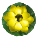 Lampe Solaire Flottante Lotus Rose Pour Jardin IP65 Étanche Avec Allumage Automatique Nocturne 28x28 cm - www.yonis-shop.com