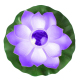 Lampe Solaire Flottante Lotus Rose Pour Jardin IP65 Étanche Avec Allumage Automatique Nocturne 28x28 cm - www.yonis-shop.com