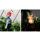 Lampe Solaire De Jardin Perroquet En Résine Peinte À La Main 13 LED Blanc Chaud 6 À 8 H IP458 - www.yonis-shop.com