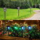 Lampe Solaire LED De Jardin À Piquer Pour Éclairage Paysager IP65 Recharge Automatique Installation Facile - www.yonis-shop.com