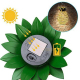 Lanterne Solaire LED En Fer Forme Ananas Pour Jardin Extérieur IP44 24 Ou 60 LED Blanc Chaud - www.yonis-shop.com