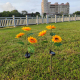 Lampe Solaire LED Tournesol À Trois Têtes Pour Jardin Allumage Automatique Autonomie 12 À 18 Heures - www.yonis-shop.com