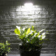 Lampe Murale Solaire À Détection De Mouvement Lumière Blanche IP65 LED Haute Luminosité Autonomie 10 Heures - www.yonis-shop.com