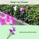 Lampe Solaire De Jardin À 4 Fleurs De Lys LED Lumière Blanche Étanche IP55 Allumage Automatique 8 Heures D’Autonomie - www.yo...