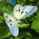 Guirlande Lumineuse Solaire Papillons À Fibre Optique Pour Jardin 4 m 12 LED Multicolore IP44 Autonomie 6 à 8 h - www.yonis-s...
