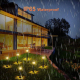 Lampe Solaire LED De Jardin Extérieur Lumière Blanche IP65 À Allumage Automatique Avec Diffuseur Facetté - www.yonis-shop.com