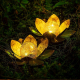 Lampe Solaire De Jardin Lotus Pour Décoration Extérieure 20 LED Blanc Chaud Résistante À La Pluie IP44 À Détection Automatiqu...