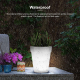 Pot De Fleurs Lumineux Solaire LED Pour Jardin Et Cour IP44 4 LED Lumière Blanche 19 Cm - www.yonis-shop.com
