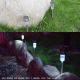 Lampes Solaires De Jardin LED Extérieur Lot De 10 Étanches IP65 Avec Détecteur De Lumière Autonomie 8 Heures Lumière Blanche ...