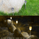 Lampes Solaires De Jardin LED Extérieur Lot De 10 Étanches IP65 Avec Détecteur De Lumière Autonomie 8 Heures Lumière Blanche ...