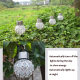 Lot De 2 Lampes Solaires Suspendues Boule Ajourée Pour Jardin Lumière Blanche Autonomie De 6 À 8 Heures - www.yonis-shop.com