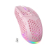 Souris Gaming Sans Fil RGB Tri-Mode Ergonomique 8000 DPI Perforée Avec Batterie 600 mAh - www.yonis-shop.com