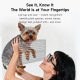 Lunettes Intelligentes Connectées Avec Caméra 8 MP Photos Vidéos Appels Bluetooth Assistant Vocal IA Et Traduction - www.yoni...