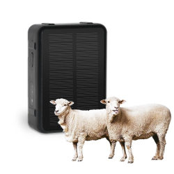 Traceur GPS Pour Bovins Et Ovins Avec Suivi En Temps Réel Recharge Solaire Batterie 9000 mAh Etanche IP67