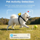Traceur GPS Pour Animaux 4G Avec Caméra HD 1080P Suivi En Temps Réel Autonomie 10 Jours Étanchéité IP66 - www.yonis-shop.com