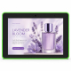 Afficheur Dynamique Commercial 8 Pouces Tactile HD Android 14 4 Go 32 Go WiFi 6 Et Ethernet - www.yonis-shop.com