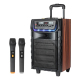 Enceinte Karaoké Portable Bluetooth Sur Roues 40 W Avec 2 Micros Sans Fil UHF Woofer 8 Pouces Et LED RGB - www.yonis-shop.com