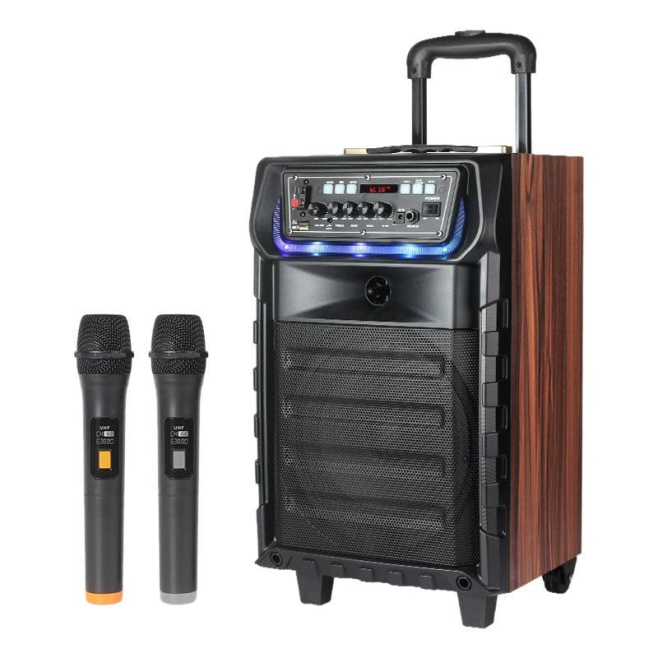 Enceinte Karaoké Portable Bluetooth Sur Roues 40 W Avec 2 Micros Sans Fil UHF Woofer 8 Pouces Et LED RGB - www.yonis-shop.com