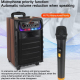 Enceinte Karaoké Portable Bluetooth Sur Roues 40 W Avec 2 Micros Sans Fil UHF Woofer 8 Pouces Et LED RGB - www.yonis-shop.com