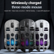 Souris Gaming Sans Fil Tri Mode 74 G Coque Alvéolée 8000 DPI Batterie Rechargeable - www.yonis-shop.com