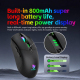 Souris Gaming Sans Fil Rechargeable Tri Mode 12800 DPI RGB 1000 Hz 6 Boutons - www.yonis-shop.com