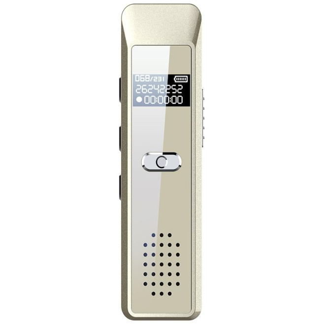 Enregistreur Vocal Numérique Portable Avec Écran OLED 8 Go 90 Heures D’Enregistrement Et 30 Heures D’Autonomie - www.yonis-sh...