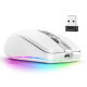 Souris Sans Fil 2400DPI Dual Mode 2.4GHz Bluetooth 5.1 6 Boutons Mute Rechargeable 700mAH 14 Modes Lumineux - www.yonis-shop.com